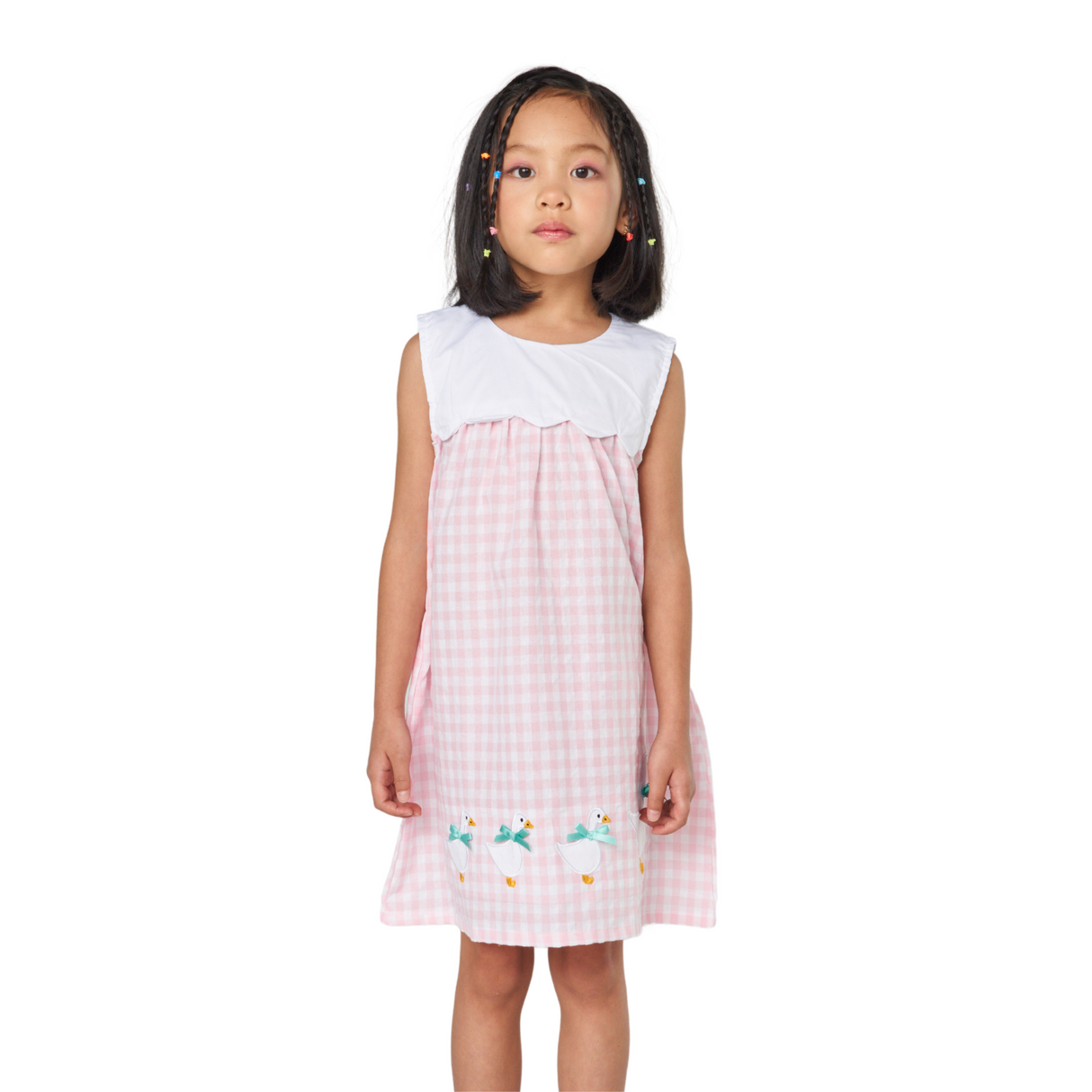 Gingham Embroidered Dress – Pink and White