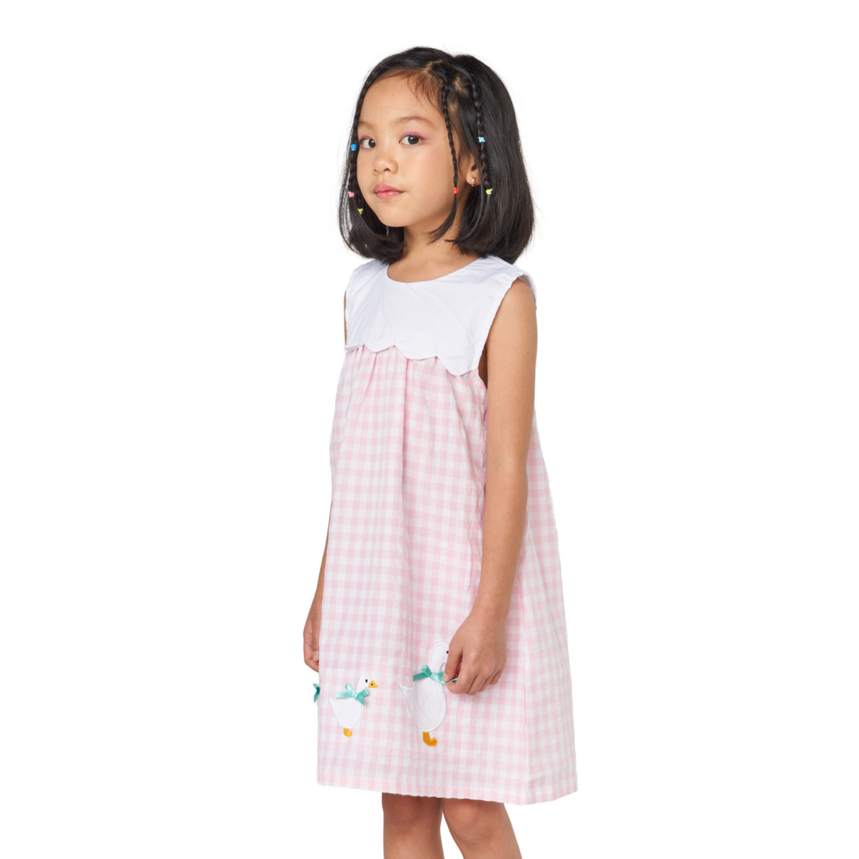 Gingham Embroidered Dress – Pink and White