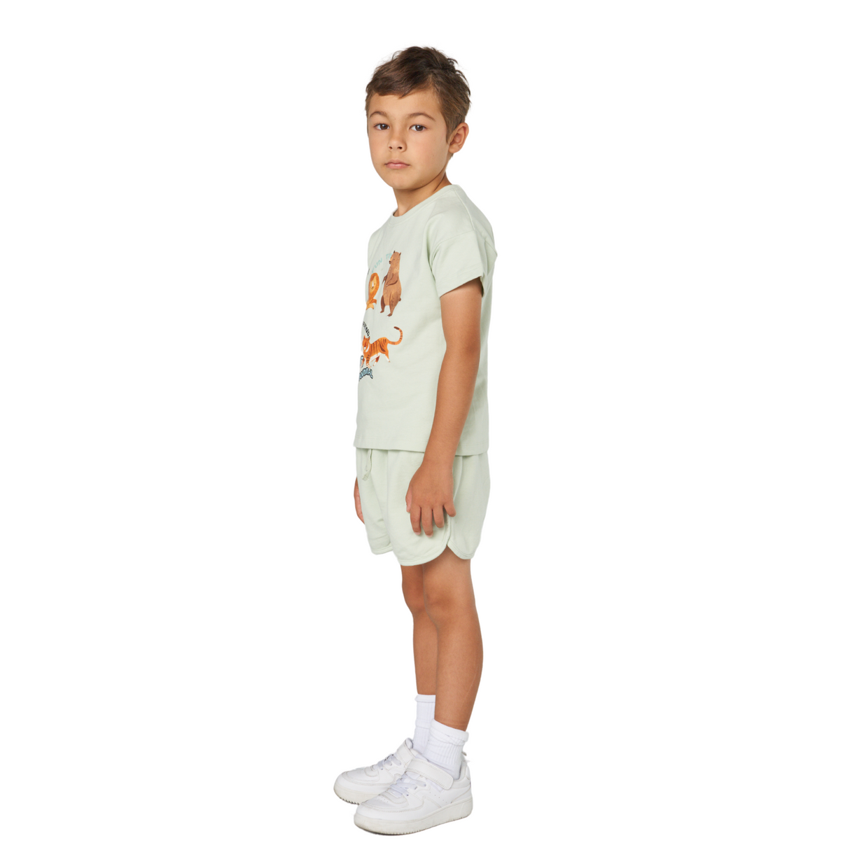 Animal Friends T-Shirt and Shorts Set – Mint