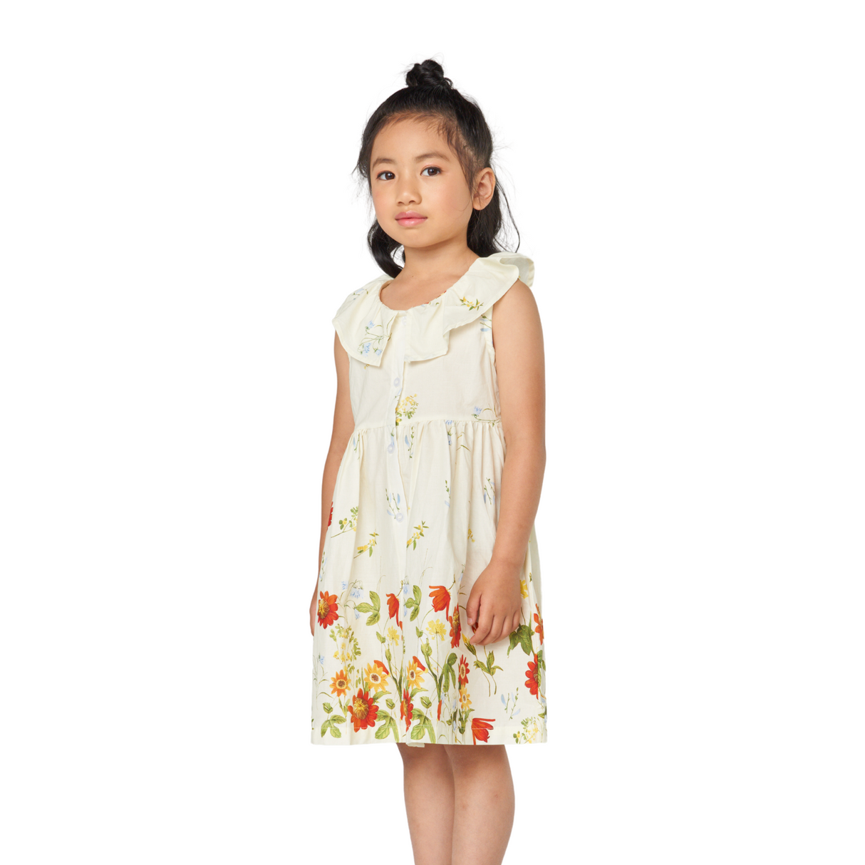 Ruffle Collar Floral Dress – Ivory