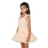 Peach Super Puffy Princess Dress